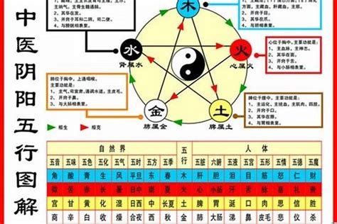 1984年五行属什么